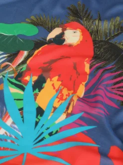 ETRO MODAL AND CASHMERE PARROT SCARF - BLUE
